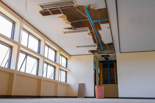 Best Carpet water damage restoration  in Madison Heights, MI