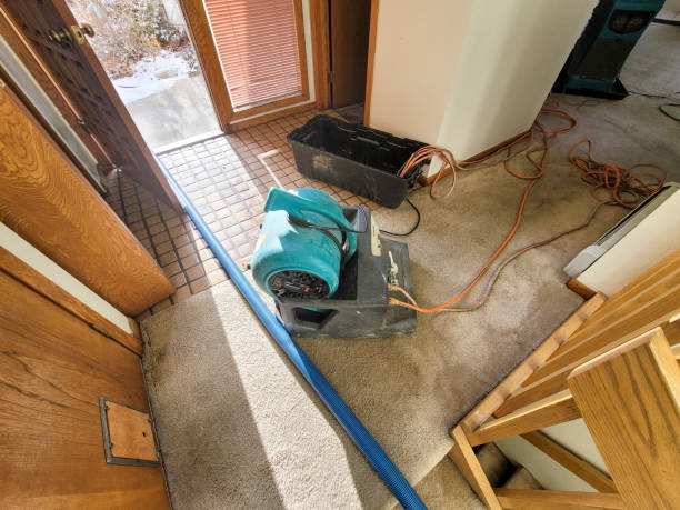Best Fire Damage Restoration  in Madison Heights, MI