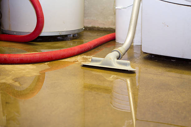 Best Water damage contractors near me  in Madison Heights, MI