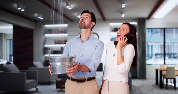 Best 24/7 water damage repair  in Madison Heights, MI